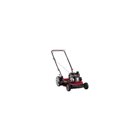 Mtd 21 in. 2-n-1 Walk Behind Push Mower 104503